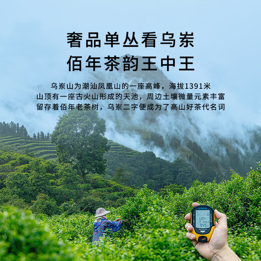 第王【鸭屎香】凤凰潮州单丛千元级茶叶特级海拔1050鸭屎香单枞茶凤凰 乌岽八仙 14g*1盒 14g