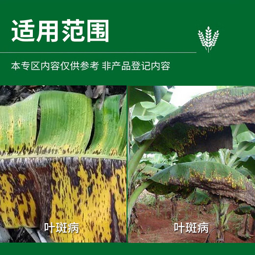 Hulian Plant Protection 40% benzopyrazole fungicide difenoconazole pyrazolostrobin anthrax powdery mildew rust pesticide 40% benzopyrazole 500g*1 bottle