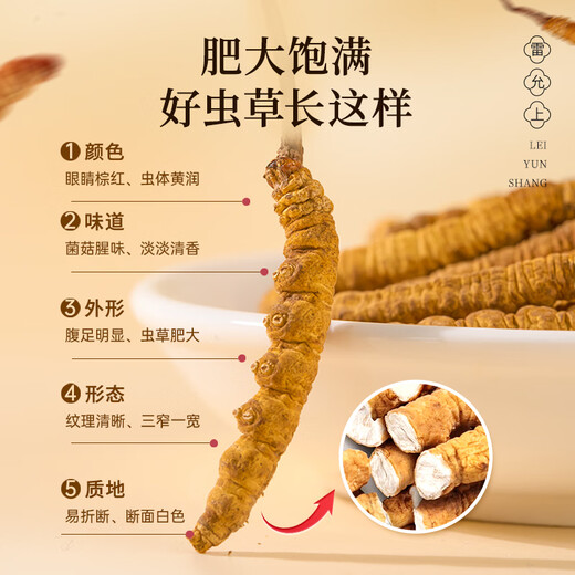 Lei Yunshang [Oficial] Cordyceps Sinensis Caja de regalo de alta gama Suplementos de alta gama para cajas de regalo para ancianos y padres [Cordyceps para amigos, Remains de amistad] 5 piezas/g 10g aproximadamente 50 piezas