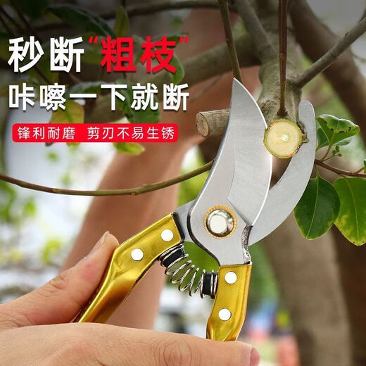 Ye Yu pruning fruit tree pruning scissors gardening garden pruning household powerful scissors artifact flower pruning scissors SK5 manganese steel pruning shears black
