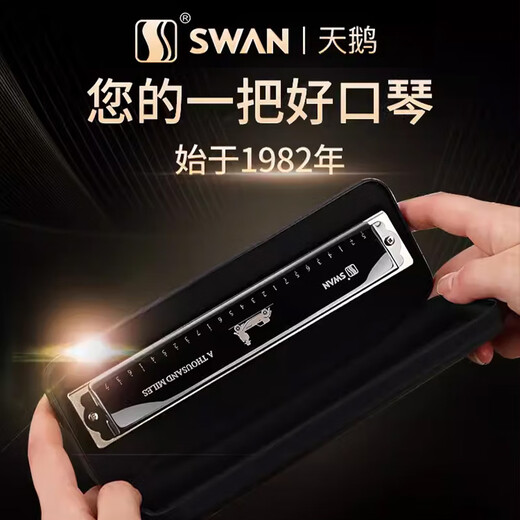 天鹅（SWAN）口琴演奏成人24孔28孔复音C调初学者小学生专用儿童入门 黑色【24孔重音C调+视频教程】
