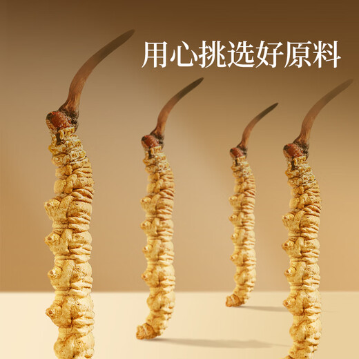 同仁堂品牌 北京同仁堂  虫草冬虫夏草  高端滋补礼盒营养品送长辈 1盒 50g 【金尊礼盒】约4根/克200根