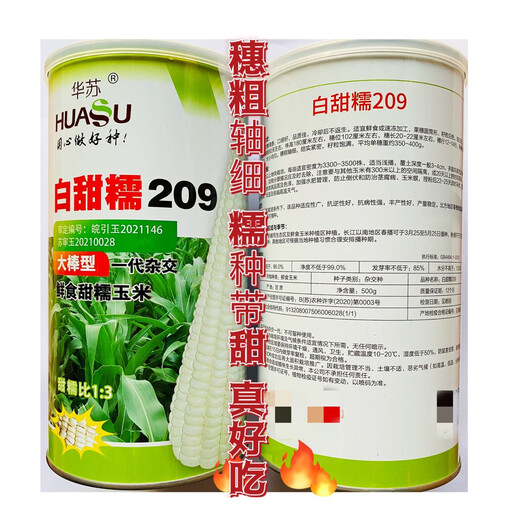Huasu Baitiannuo 209 Семена белой восковой кукурузы Большие палочки Свежие сладкие семена восковой кукурузы Высокодоходные семена белой восковой кукурузы d Baitiannuo 209 Пакеты 50 г