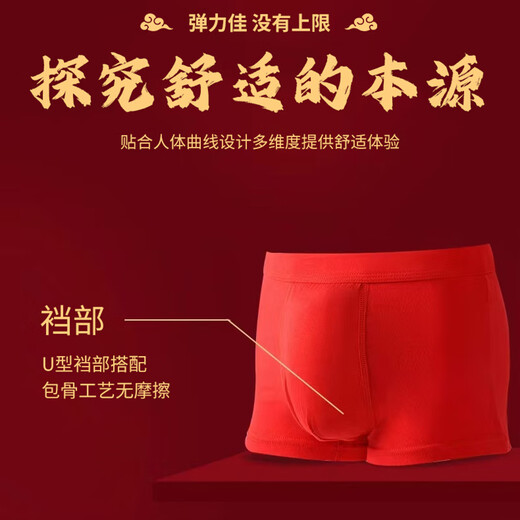 Catman children's zodiac year underwear, year of the horse, boys and girls, red underwear, medium and large children's pure cotton antibacterial Christmas underwear, boys' lucky stars, 2 pairs of socks + 2 pairs of underwear, 160, height recommendation 145-155cm