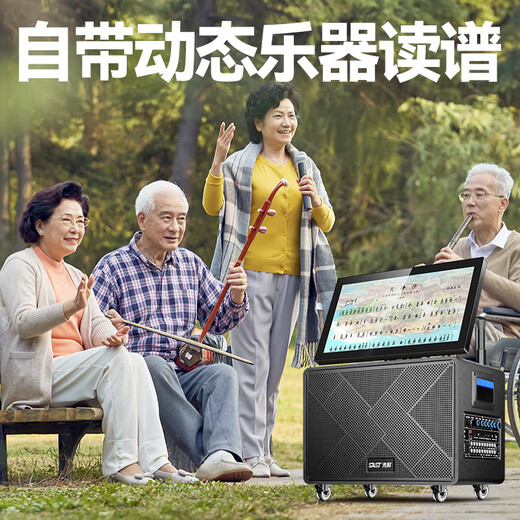 先科（SAST）家庭ktv套装音响功放视频K歌卡拉ok一体机广场舞音箱带显示屏点歌机家用k歌蓝牙户外音响SW-867