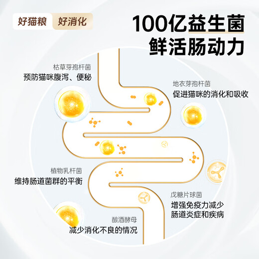 Tank Xiaoxi Cat Food Lightly Baked Full Price Grain-Free Fresh Chicken Nutritional Conditioning Gastrointestinal Trial Trial Adult Kitten Cat Food 200g