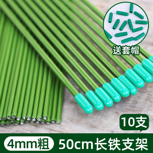 
Climbing fixed binding rod Money tree support rod Indoor fruits, flowers, plants, gardening flower stand flower pot support rod 10 4mm green 50cm long 10 sets of hats
