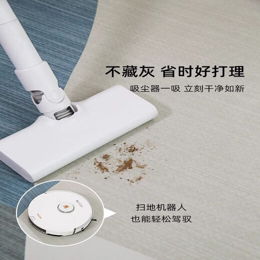 觅卡莱客厅地毯免洗可擦沙发地垫大面积全铺房间高级感家用防水 简约15601号 240cm*400cm