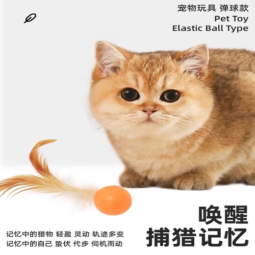 Beiyipin Cat Toy Bouncy Ball Feather Cat Stick Self-Happiness and Boredom Relief Artifact Internet Celebrity Cat Cat Chase Interactive Pet Supplies