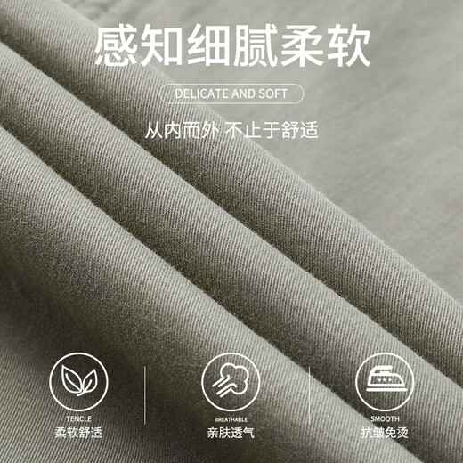 真维斯（Jeanswest）美式潮牌阔腿长休闲裤男士春秋新款百搭宽松运动直筒工作装棉裤子 浅绿色2403H XL 【建议135-155斤】