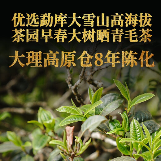 下关沱茶 茶叶 普洱茶 普洱生茶 2022年勐库大雪山 357g/饼 八年陈料精制