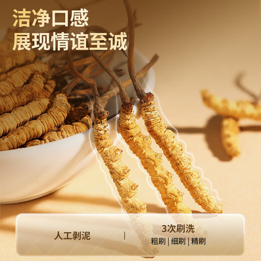 Tongrentang Brand Beijing Tongrentang Cordyceps Cordyceps can be paired with ginseng to nourish the elders gift box 1 box 5g [Fuyun Gift Box] About 4 sticks/gram About 20 sticks