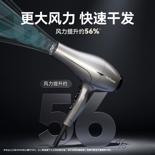 Fire Phoenix Hair Dryer 6600X, high power 2400W for hair salons, high wind power, low noise, home constant temperature hair care, no hair damage, professional hair dryer for barber shops, home appliances 6600H+ titanium gray (four-speed wind)