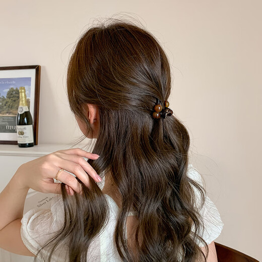 Chimera (CHIMERA) 2-piece set of bangs, broken hair clips, princess hair catcher for the back of the head, half-tied hair accessories, headdress, birthday gift for girls