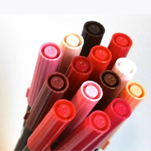 Libellule Double-Head Design Watercolor Pen Color Brush Mark Pen ABT54 Couleur rose Gris orange ABT679 [Plum foncé]