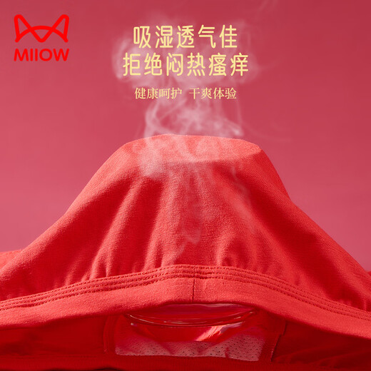 Catman children's underwear boys' zodiac year big red boxer briefs teenagers' lucky boxer briefs red 170