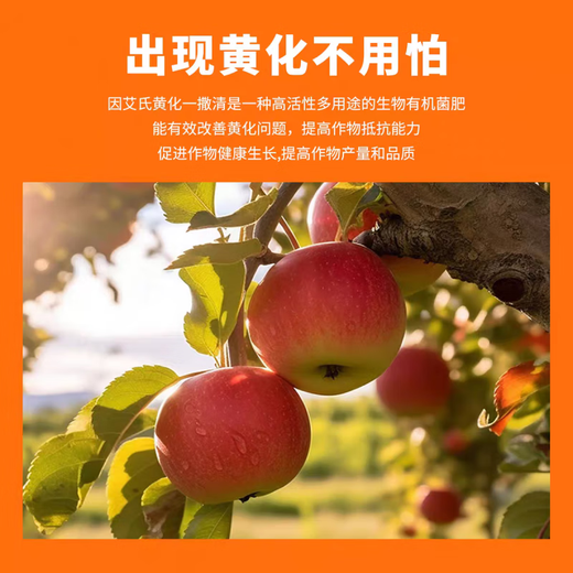 Qiusi yellowing one-spreading Qingwo fruit tree one withdrawing clearing citrus citrus navel orange yellowing repair agent medium amount of element Feifeng 1000g 4 bags