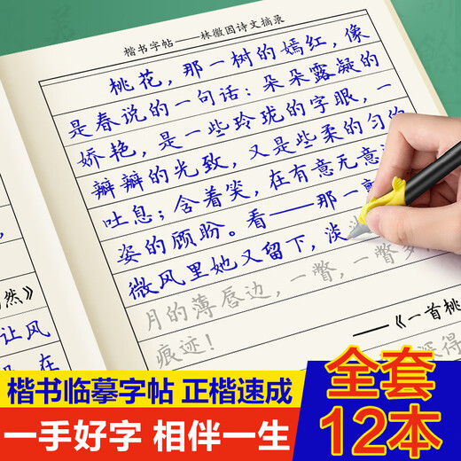 楷书练字帖楷书临慕字帖硬笔临摹字帖练字成年男楷书入门钢笔练字本大学生成年人书法诗词精选基础笔画描红练习本初学者写字帖 楷书临摹12119字）名家散文+诗歌精选+纳兰2
