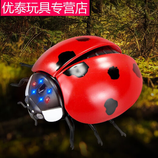 【京品】电动遥控瓢虫玩具儿童网红仿真整蛊感应会动昆虫爬虫动物 遥控瓢虫红色9922+螺丝刀