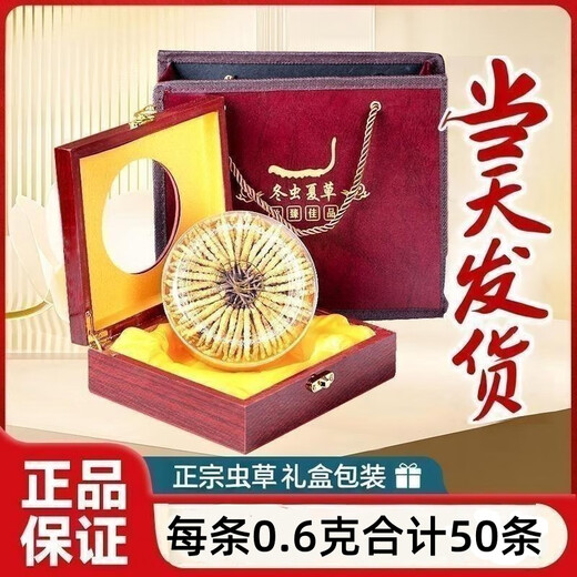 
Xina Tibet Cordyceps dried goods Cordyceps gift box with high altitude snow mountain Cordyceps selected Cordyceps gift gifts. Tibet Nago Cordyceps 3 roots 1 gram 30 pieces in total
