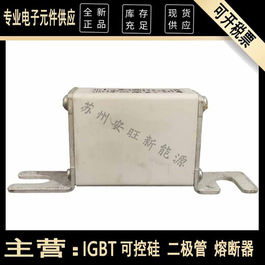 CNOBLE巴斯曼熔断器170M1366 170M1368 170M1369 170M1371 170M1372保险 更多型号请咨询客服