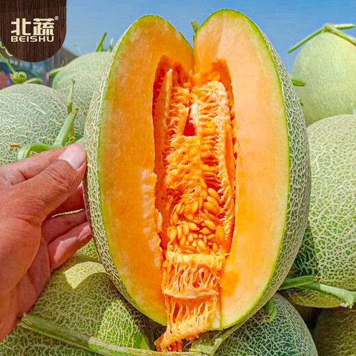 Beishu Hami melon seed seedlings Xinjiang reticulated melon melon melon fruit seeds Liucui Hami melon seeds 100 capsules