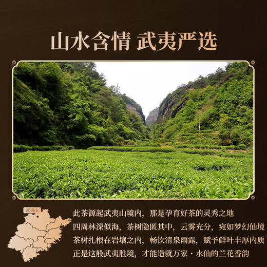正山堂旗下岩语武夷岩茶 特级水仙 茶叶礼盒万家系列乌龙茶送礼长辈礼品 9.9g*1包