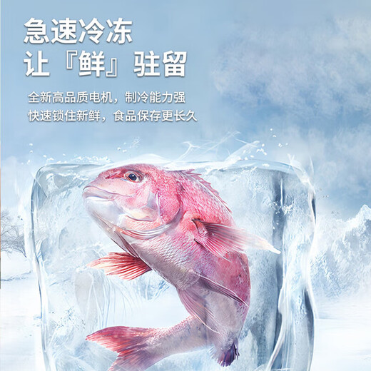 Chigo double-door refrigerator small rental dormitory double-door refrigeration and freezing first-class energy efficiency household large-capacity office refrigerator micro-frost two-door first-class energy efficiency-228L drawer model four layers of refrigeration and three layers of freezing