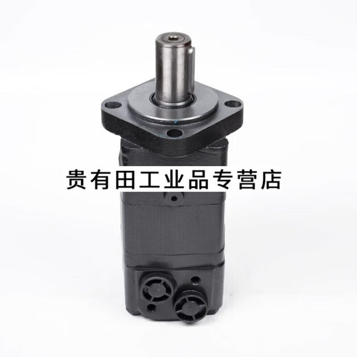 Hydraulic motor BMS/BM5 low speed and high torque BMSY 80 100 125 160 200 250 315 40 BMSY (BMS) 315