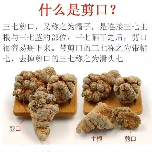 Panax notoginseng, authentic Yunnan Wenshan Chun Panax notoginseng, wild Chinese herbal medicine Tianqi, special grade slip-tall slimming slimming slimming 500 grams, each Jin[Jin is equal to 0.5 kg] 14 slip-tall slimming slimming slimming slimming slimming slimming slimming slimming slimming slimming slimming slimming slimming slimming slimming slimming slimming slimming slimming slimming slimming slimming slimming slimming slimming slimming slimming slimming slimming slimming slimming slimming slimming slimming slimming s
