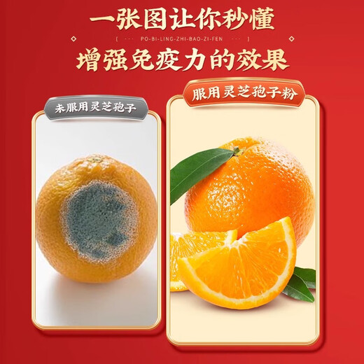 Beijing Tongrentang Break Wall Ganoderma lucidum Spore Powder to Enhance Immunity New Year Gift Box High-end Products for Elders 1 Box 120g [Set of Gift Box 20*6]