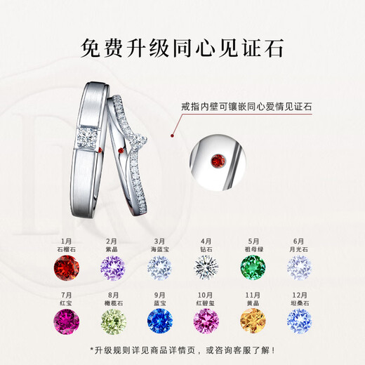 DR Valentine's Day Gift Wedding Ring Platinum FOREVER Princess Style Couple Engagement QM0047/QW0047 Small amount in stock* Single men's ring 10 points H color SI1