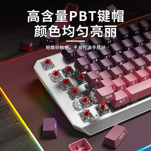 前行者TK870无线蓝牙机械键盘鼠标套装有线三模可选黑莓侧刻高颜值客制化办公游戏电脑笔记本平板iPad用 银白正刻87键白光【有线键盘】 青轴【清脆手感】