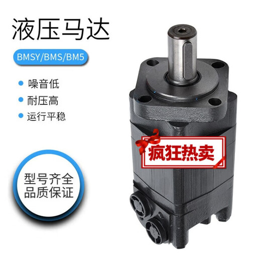 Hydraulic motor BMS/BM5 low speed and high torque BMSY 80 100 125 160 200 250 315 40 BMSY (BMS) 315