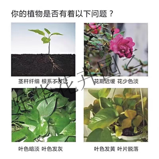 Phosphate Fertilizer Superphosphate Flower Fertilizer Vegetable Fertilizer Root Strengthening Fertilizer Adjusting Soil Fertilizer Vegetable Planting Agricultural Fertilizer Planting Flowers Phosphate Fertilizer High Concentration 10Jin Jin is equal to 0.5 kg