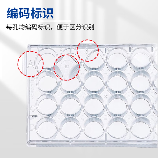 
Corning Disposable Plastic Cell Culture Plate Bacterial Microwell Plate Flat bottom ELISA enzyme-labelled plate Biological laboratory round-hole Petri dish plate [Sterilization] 24-well Flat bottom with cover 3524