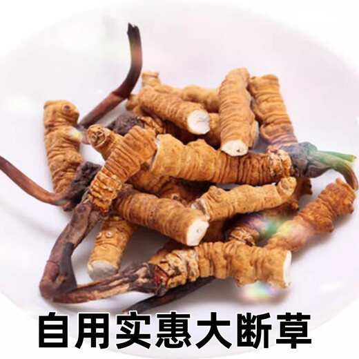 西那藏曲高海拔断冬虫夏草虫草断草大瓶装高海拔自用正宗家庭装 西藏那曲断草100克装送10发110克