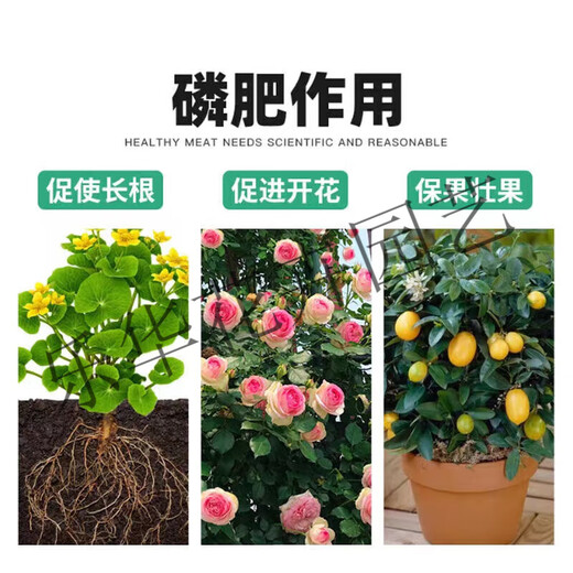 Phosphate fertilizer, superphosphate fertilizer for growing vegetables and flowers, fertilizer for fruit trees, flowers and agricultural crops, general flower-stimulating calcium phosphate fertilizer, phosphate fertilizer 500Jin Jin is equal to 0.5kg (sent in whole package)