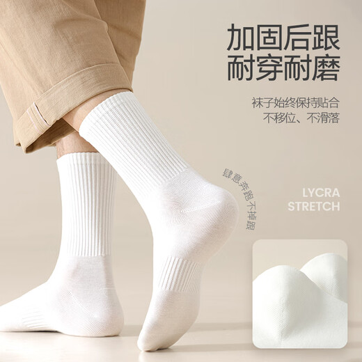 Baumwollsocken Herren-Langrohr Spring und Herbst [100% reines Baumwoll 10A Antibakteriell und geruchsdicht] Sportstilstrümpfe Lange Röhrchen 5 Paare