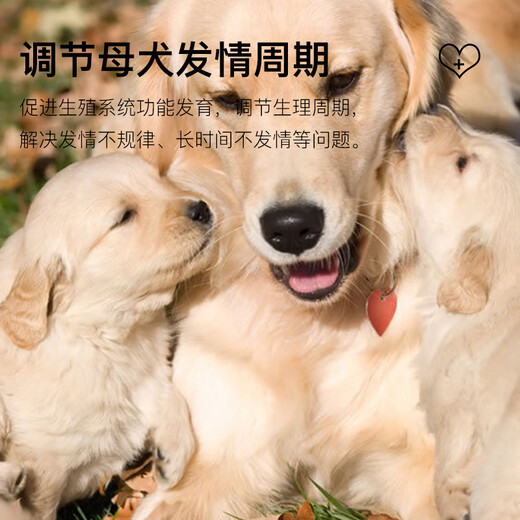 OIMG developmental fertility treasure for dogs, special nutritional premix for female dogs to promote estrus and ovulation, female dog fertility treasure, fertility treasure 2 barrels