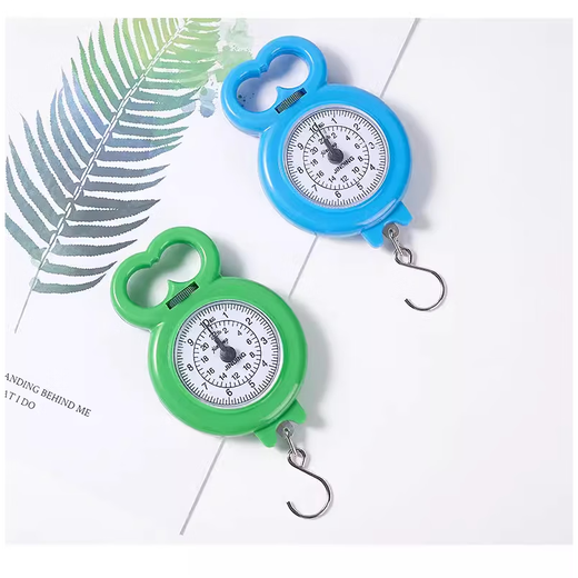 Portable home portable scale, travel spring scale, teaching student scale, small shopping scale, express scale, portable scale, mixed color, mixed color