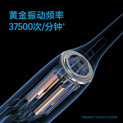 飞科（FLYCO）女士电动牙刷成人情侣送女友生日七夕节礼物智能声波深层清洁软毛牙刷FT7105浪漫粉-生日限定款