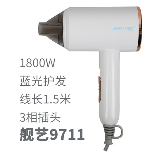 Ship Art S600 Blue Light Hair Blowing Negative Ion Hair Dryer Hair Care Drum Household Hair Salon High Power 2300W Ship Art 9716 (2200W)