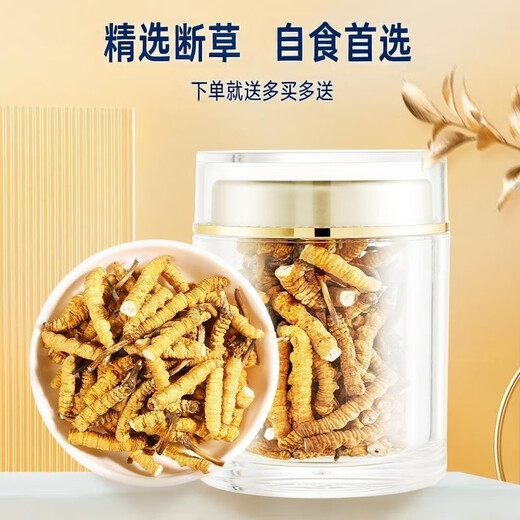 Authentic Tibetan Qu Cordyceps Cordyceps Cordyceps Broken Grass 10g for 1g for self-use home-pack Super broken grass dry goods for self-eating. 10g for large broken grass in Tibetan areas.