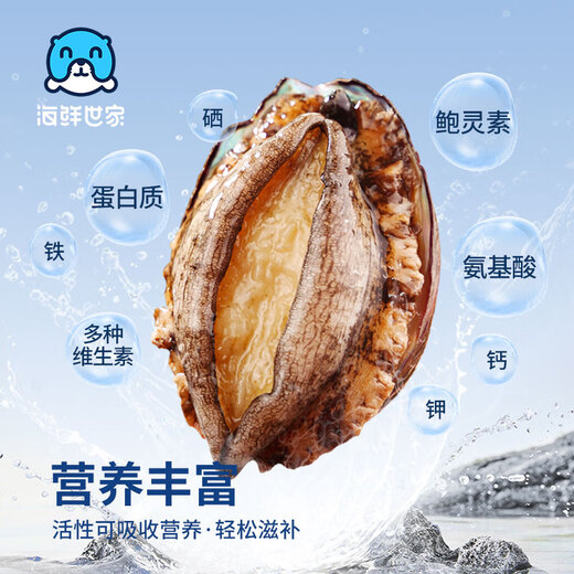 Seafood Family's extra-large belly abalone 12 pieces 360g boxed processing-free hot pot barbecue ingredients seafood gift box New Year's gift