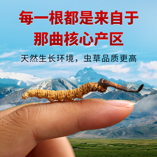 东仔【西藏那曲】野生冬虫夏草高海拔野生虫草断草滋补品礼盒送长辈 【西藏那曲野生】小号断草-自用滋补 5克（礼盒装）
