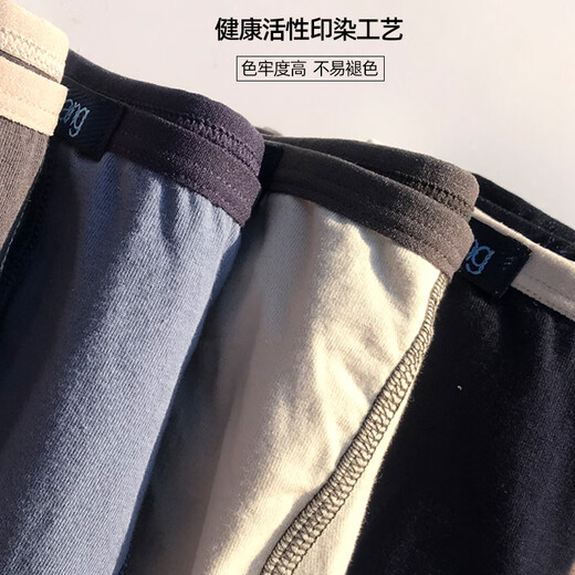 健将918男士盒装弹力棉内裤男低腰平角裤四角裤窄边单层裆一盒2条 9272混色 低腰双层裆 L