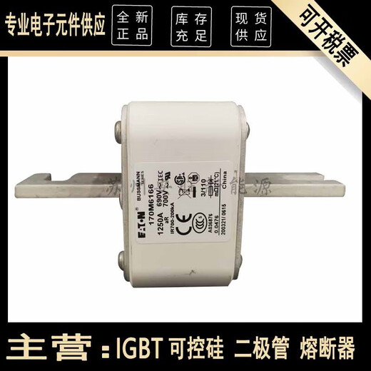 XMSJ伊顿bussmann巴斯曼170M6166 170M6167  170M6169熔断器 更多型号请咨询客服