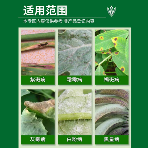 Hulian Plant Protection 30% Pyraclostrobin Pesticide Fungicide for Fruit Trees, Wheat, Vegetables and Flowers, Powdery Mildew Canker Disease Prevention