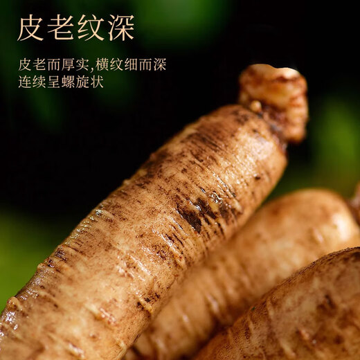 Qingqitang Changbaishan Ginseng Ganzes mit Geschenkbox in Wein und Suppe Tonic Northeast Specialty Vatertagsgeschenke für Älteste eingeweicht
